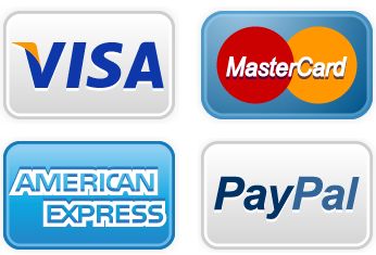 Como Aceitar Pagamentos Online com Cartão via Paypal