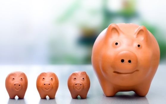 Maior nem Sempre é Melhor Grandes Bancos e Pequenos Bancos